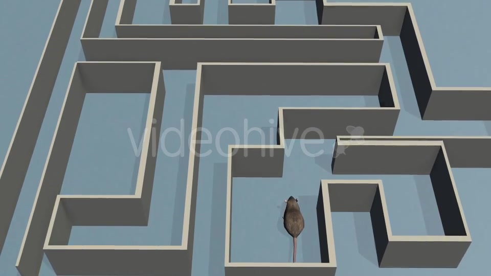 Rat and Labyrinthe - Download Videohive 19567288