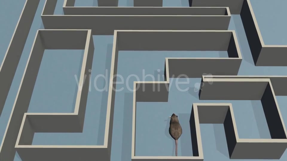 Rat and Labyrinthe - Download Videohive 19567288