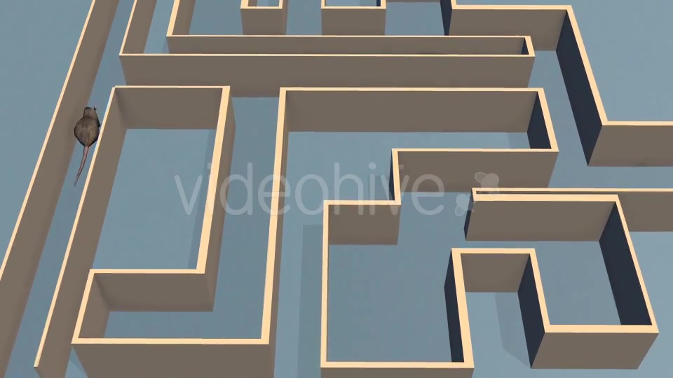 Rat Labyrinthe - Download Videohive 19567244