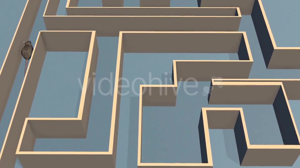 Rat Labyrinthe - Download Videohive 19567244