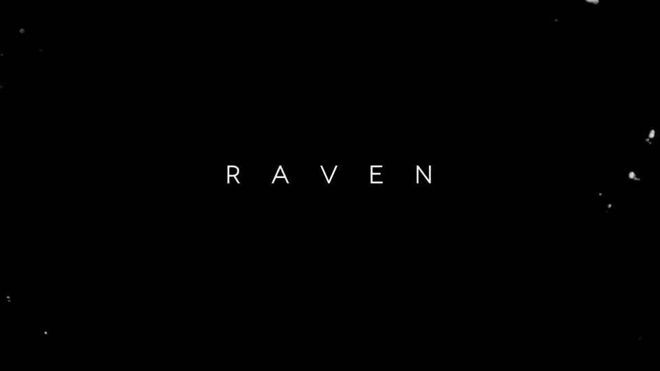 Raven Logo 2 - Download Videohive 11863572