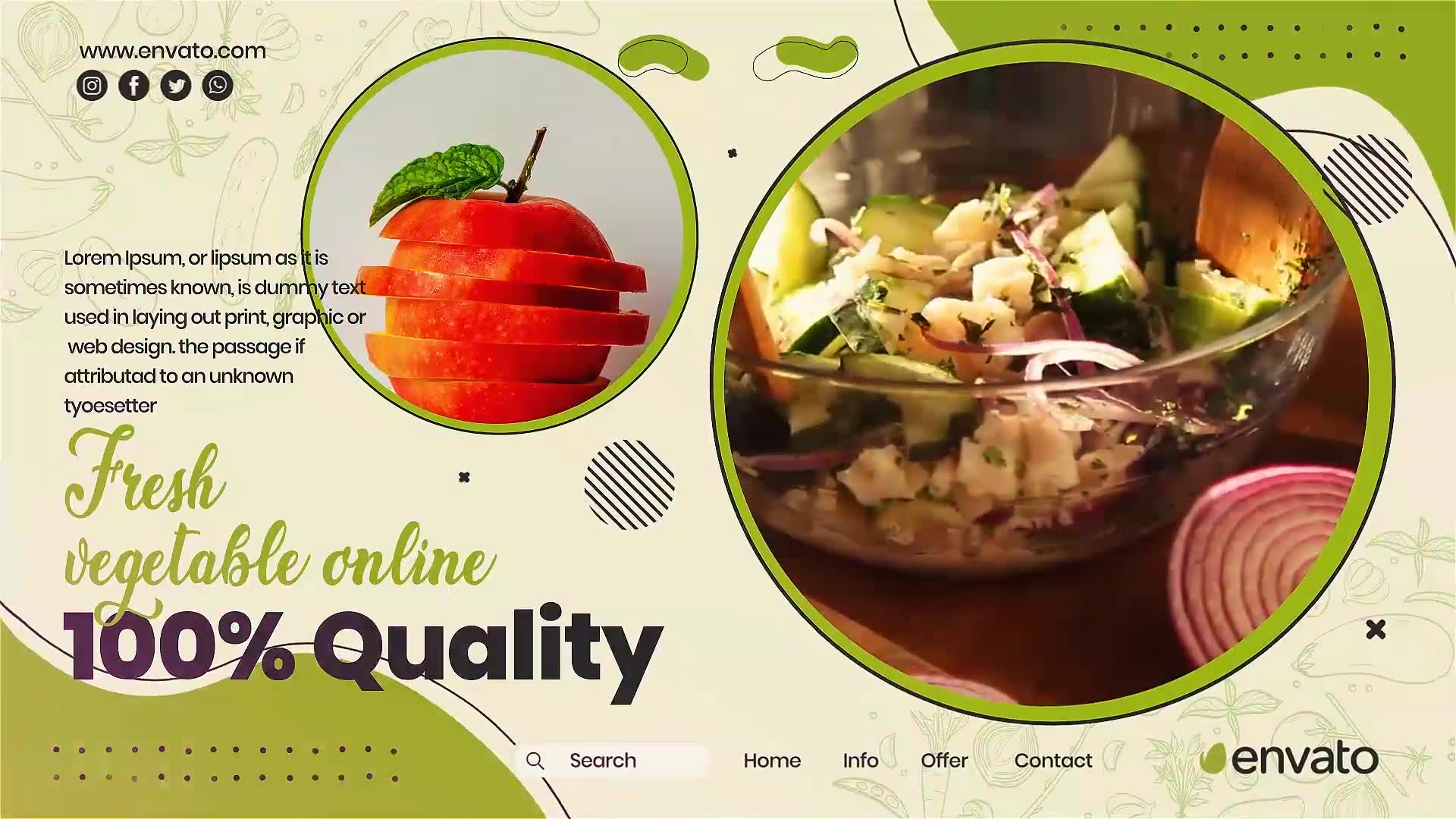 Ready For Health Food Videohive 36923266 After Effects Image 9