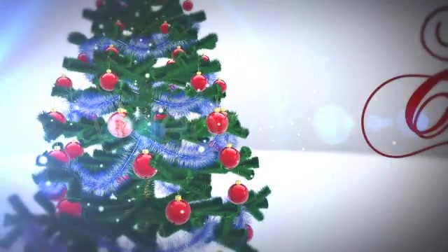 Real Christmas Tree Videohive 3572849 After Effects Image 10