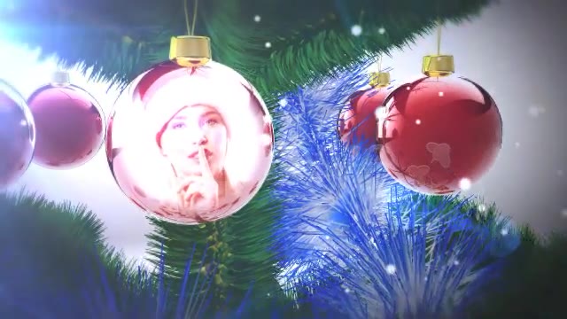 Real Christmas Tree Videohive 3572849 After Effects Image 2