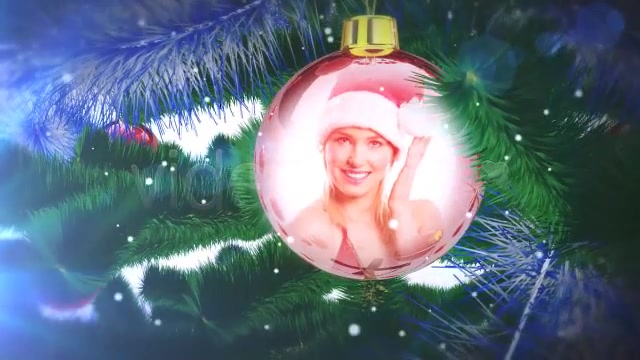 Real Christmas Tree Videohive 3572849 After Effects Image 9