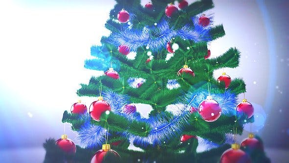 Real Christmas Tree - 3572849 Download Videohive