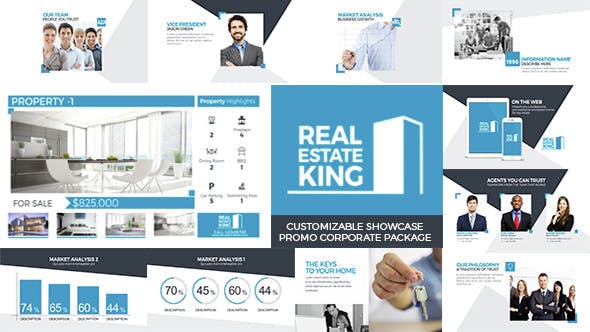 Real Estate King - Videohive Download 15213364