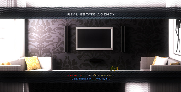 Real Estate Video Tours Gallery - Download Videohive 3703962