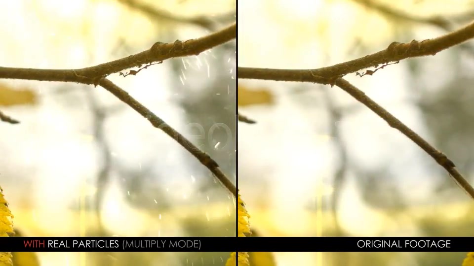 Real Particles Bundle 3 (Lazy Particles) Videohive 3376712 Motion Graphics Image 6