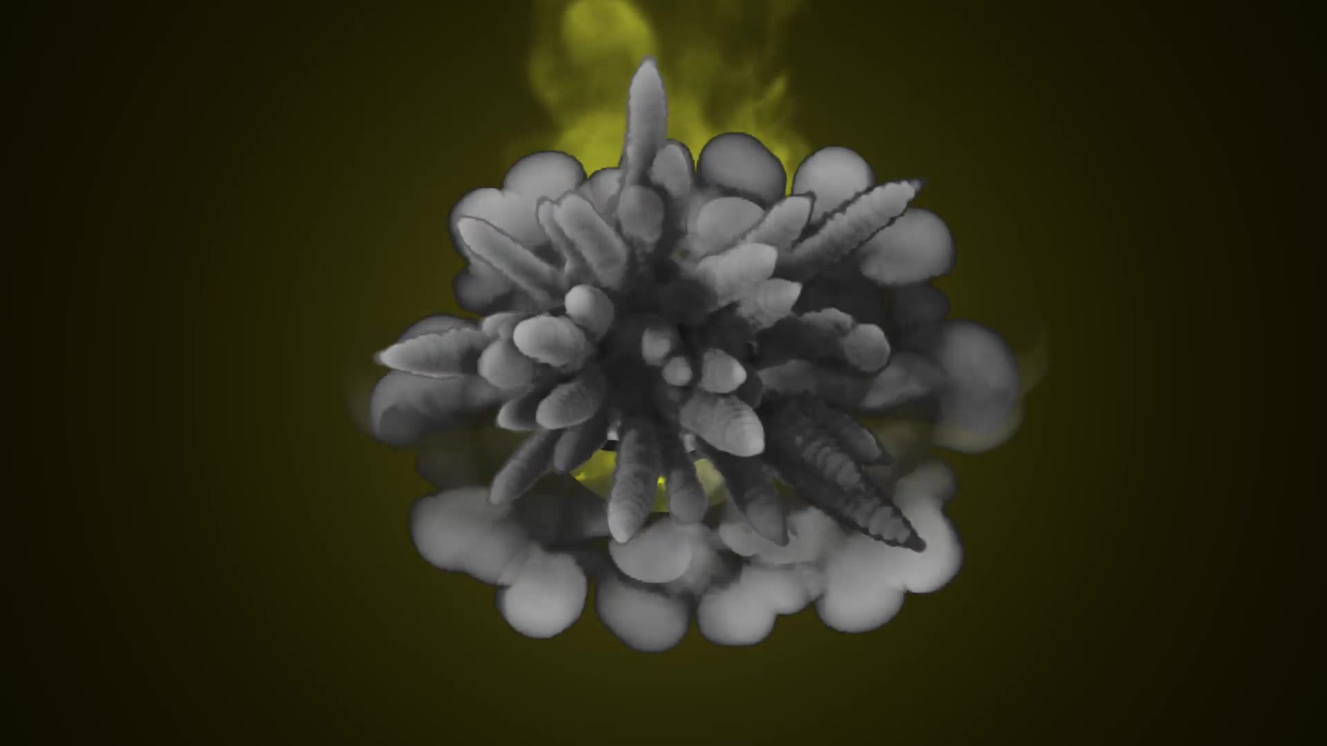 Real Smoke Effects for FCPX Videohive 38743644 Apple Motion Image 3
