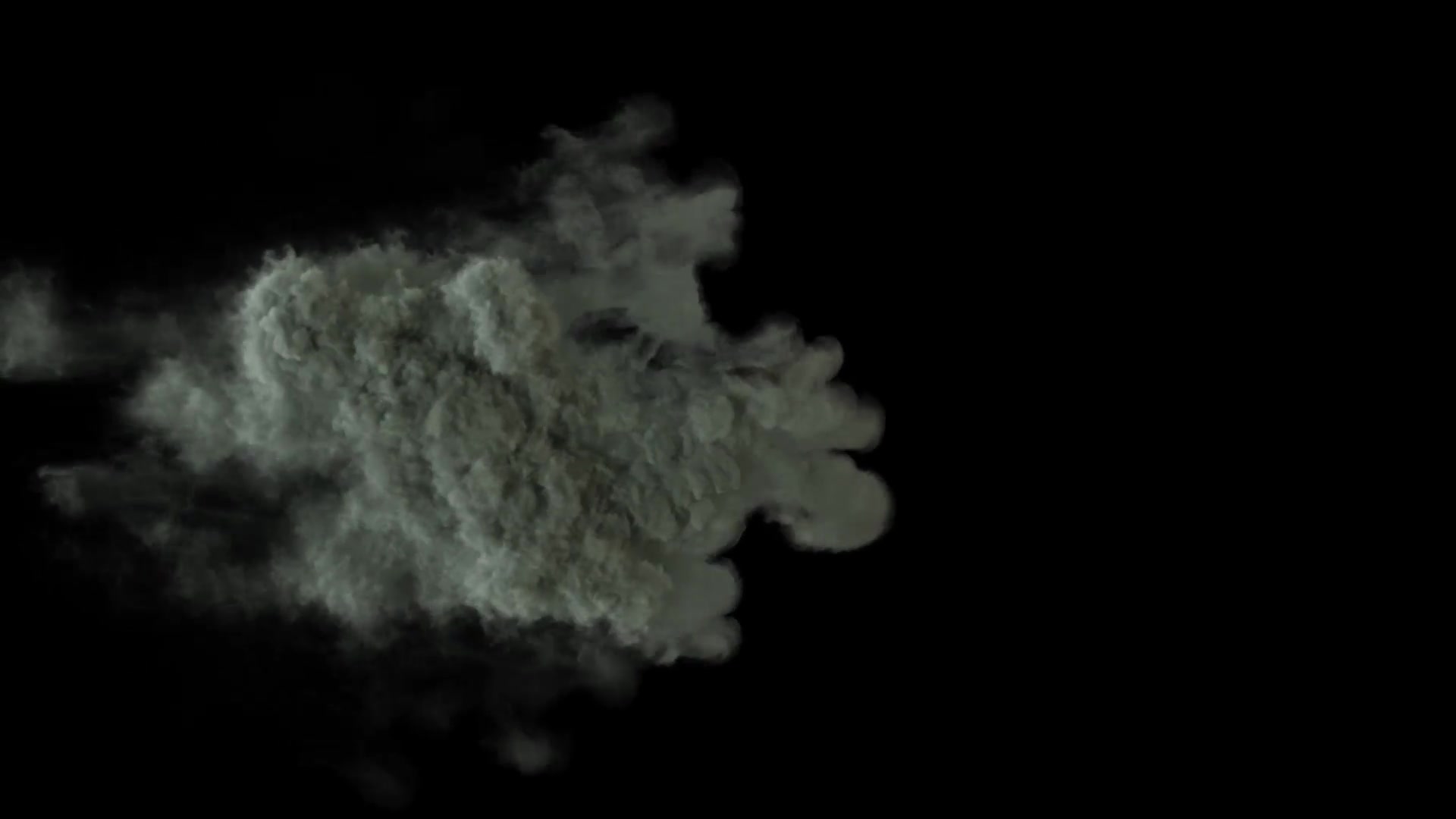 Real Smoke Effects for Premiere Pro Videohive 36231476 Premiere Pro Image 11