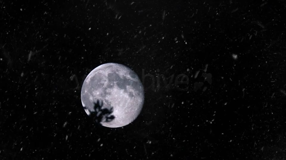 Real Snow Overlays Pack Videohive 7595937 Motion Graphics Image 11