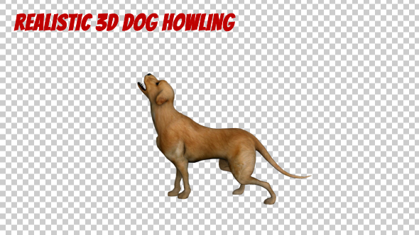 Realistic 3D Dog Howling Animation - Download Videohive 19902822