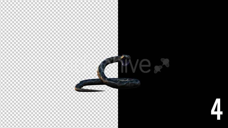 Realistic 3D Snake Animations Pack, Elements Motion Graphics ft. 3d &  animation - Envato Elements