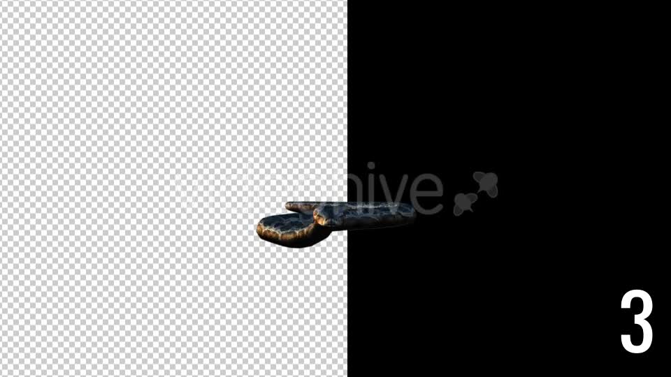 Realistic 3D Snake Animations Pack - Download Videohive 18294425