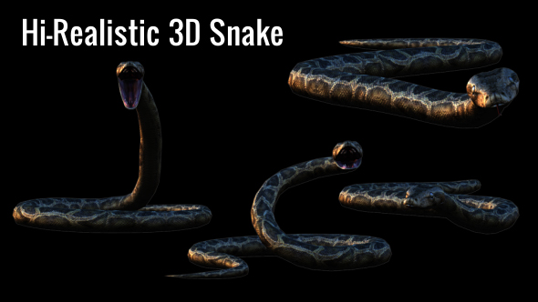 Realistic 3D Snake Animations Pack - Download Videohive 18294425