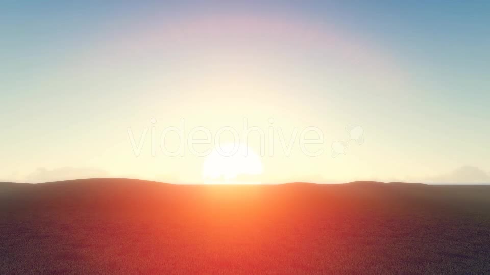 Realistic Growing Tree At Sunrise - Download Videohive 19451930