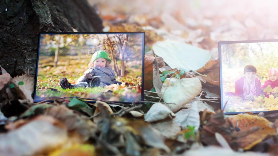 Realistic Photo Gallery - Download Videohive 7254966