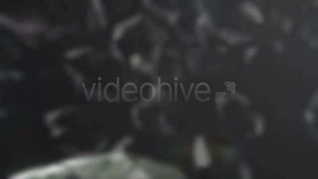 Refraction Logo Reveal Videohive 3176950 After Effects Image 5