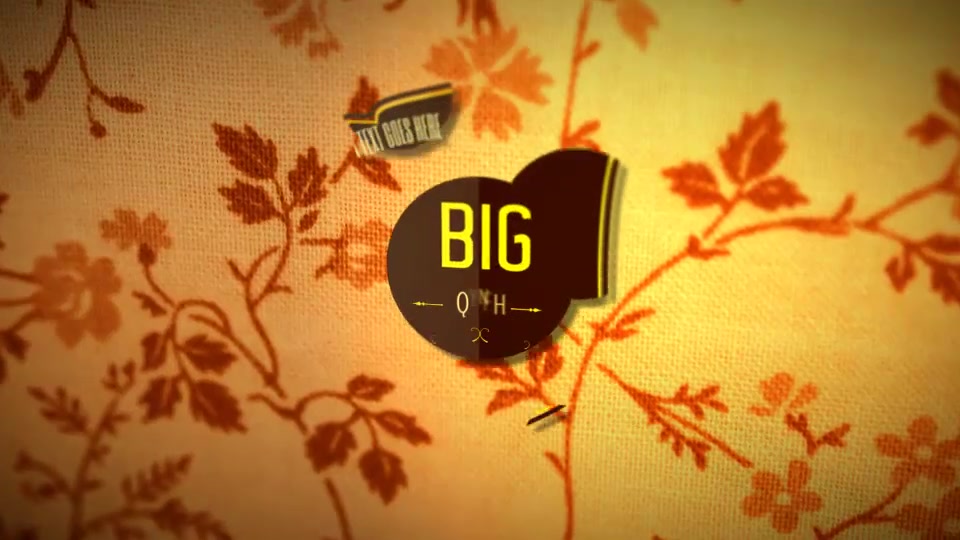 Retro Titles and Labels Videohive 6551793 After Effects Image 11