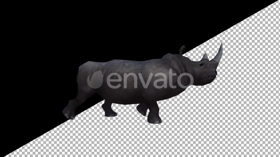 Rhino Attack Walk - Download Videohive 21769500