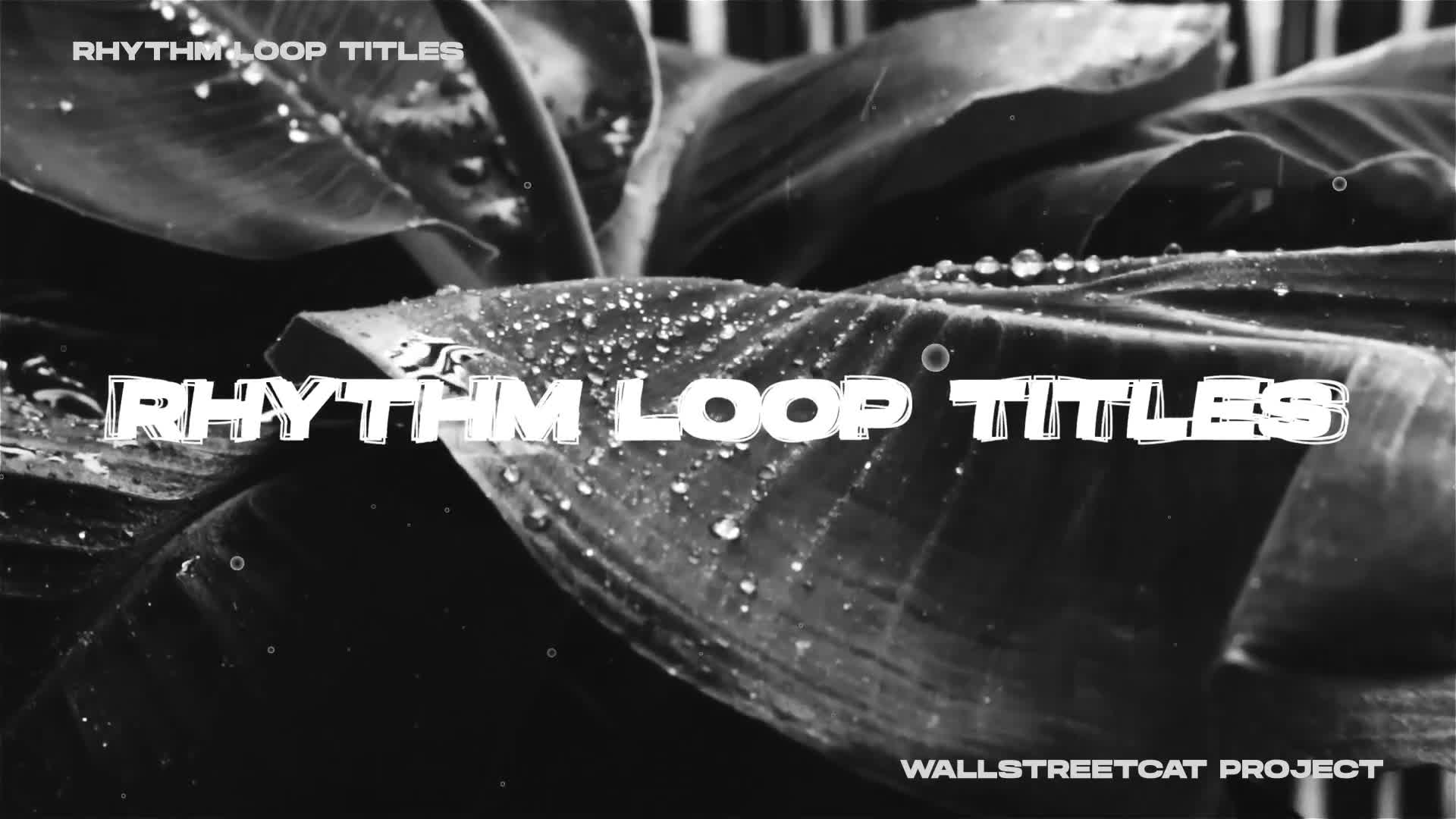 Rhythm Loop Titles Videohive 30271458 After Effects Image 8