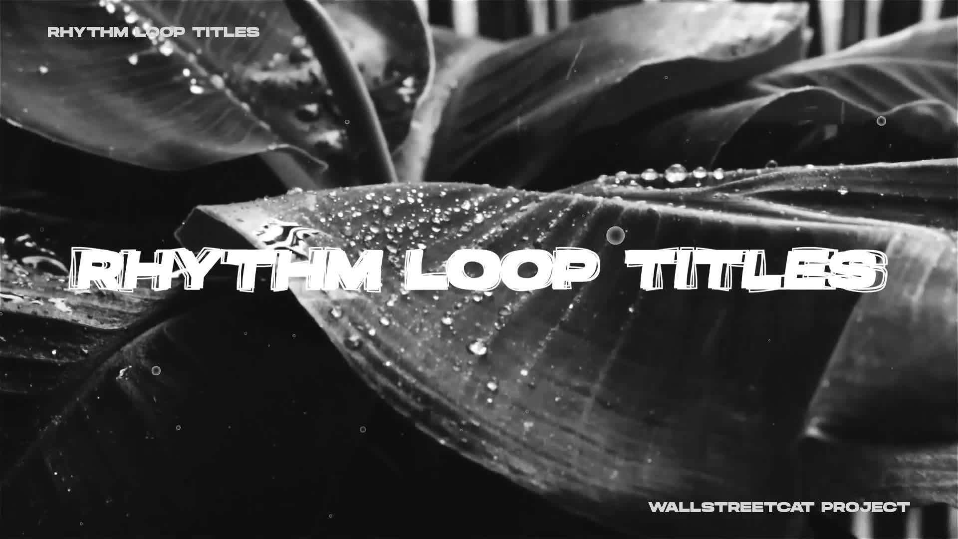 Rhythm Loop Titles Videohive 30290123 Premiere Pro Image 8