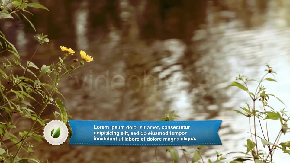 Ribbon Lower third Videohive 2577371 After Effects Image 10