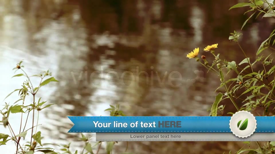Ribbon Lower third Videohive 2577371 After Effects Image 4