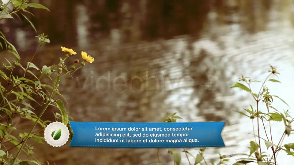 Ribbon Lower third Videohive 2577371 After Effects Image 9