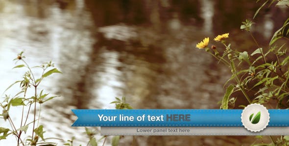 Ribbon Lower third - 2577371 Videohive Download