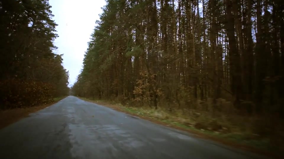 Road Forest Motion Title - Download Videohive 10506666