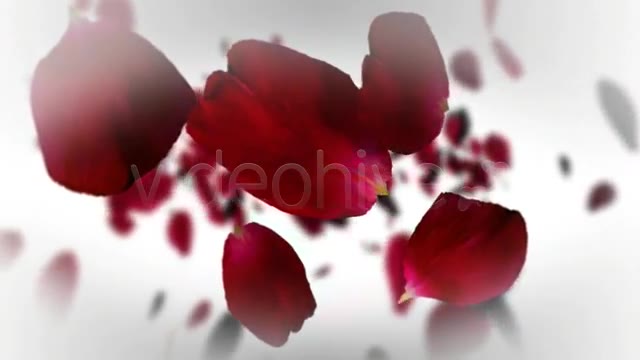 Romantic Logo and Text Reveal - Download Videohive 3862455