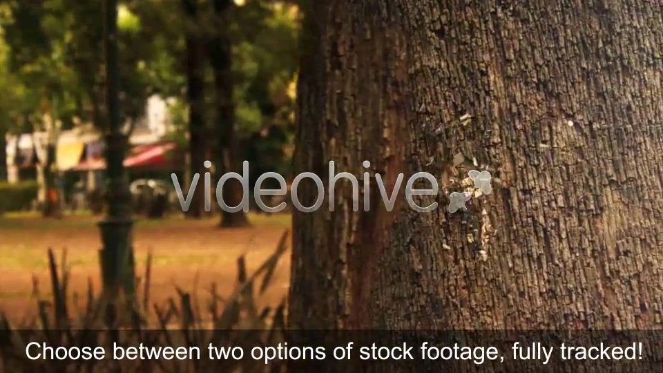 Romantic Nature Opener Videohive 4719502 After Effects Image 6