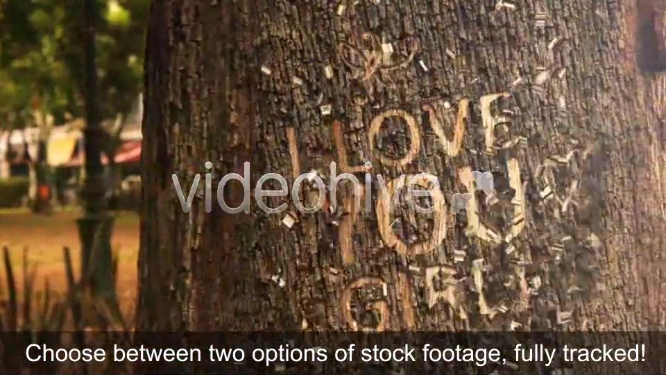 Romantic Nature Opener Videohive 4719502 After Effects Image 7