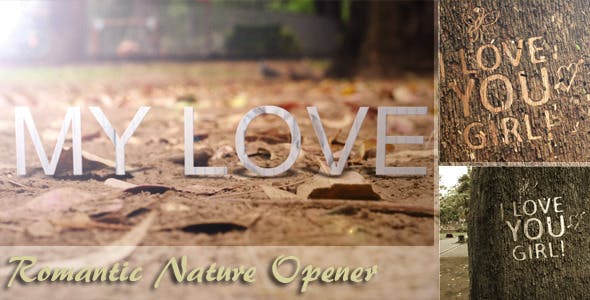 Romantic Nature Opener - 4719502 Download Videohive