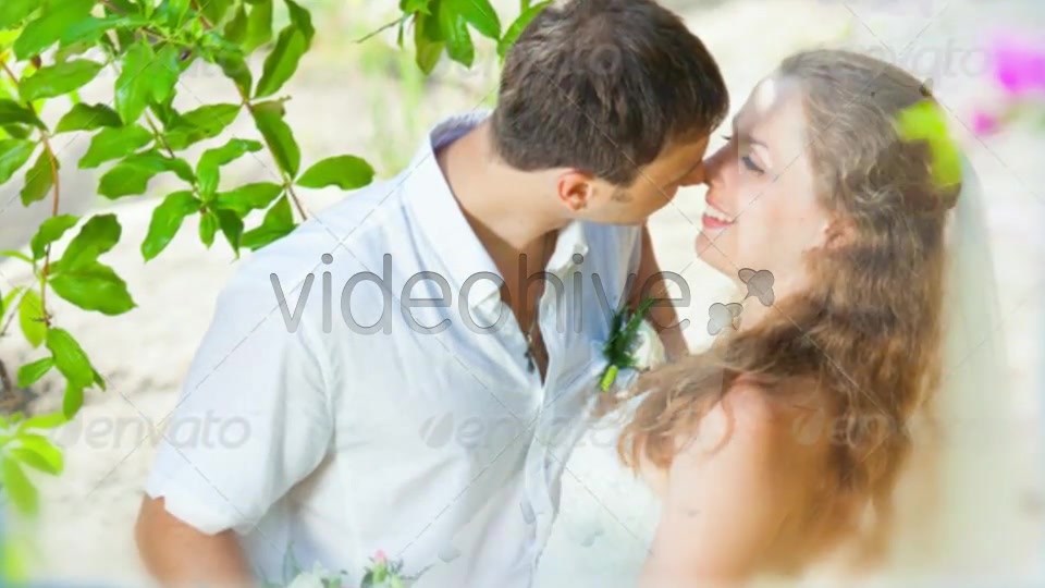 Romantic Pack - Download Videohive 2808586