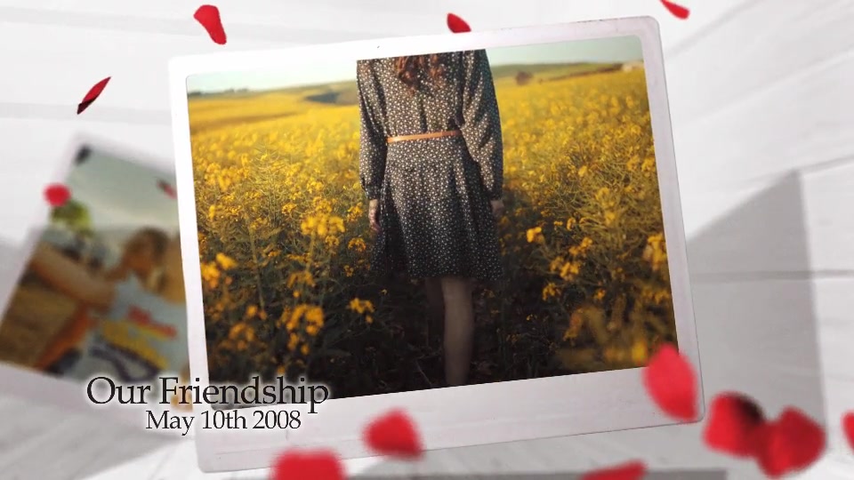 Romantic Photo Gallery Videohive 27017384 After Effects Image 3