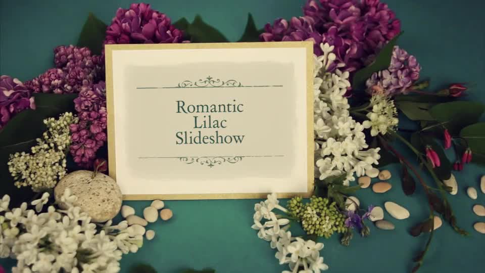 Romantic Slideshow Videohive 16720962 After Effects Image 1