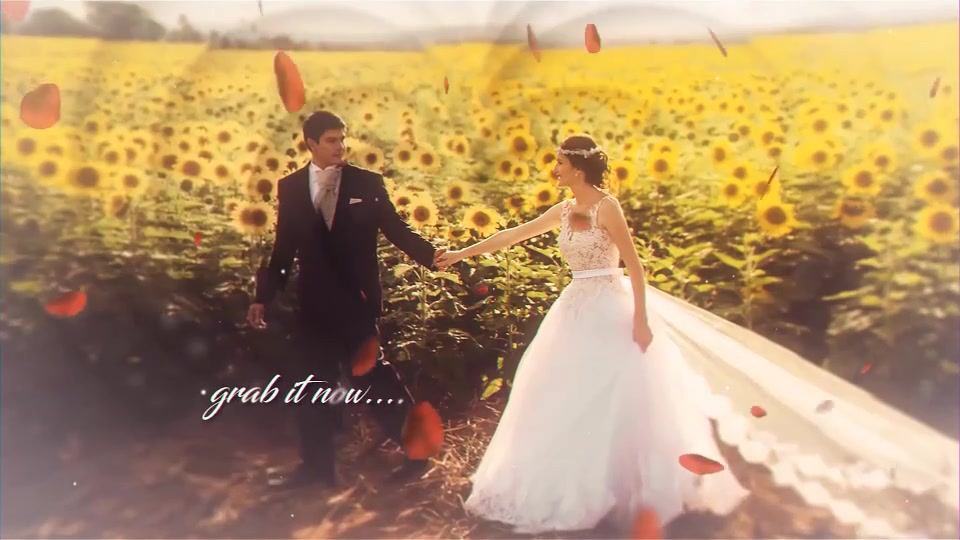 Romantic Slideshow - Download Videohive 20166726