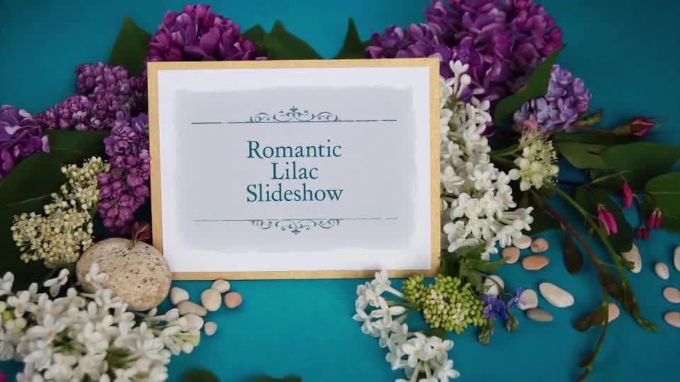 Romantic Slideshow Premiere Pro | Mogrt Videohive 31784341 Premiere Pro Image 1