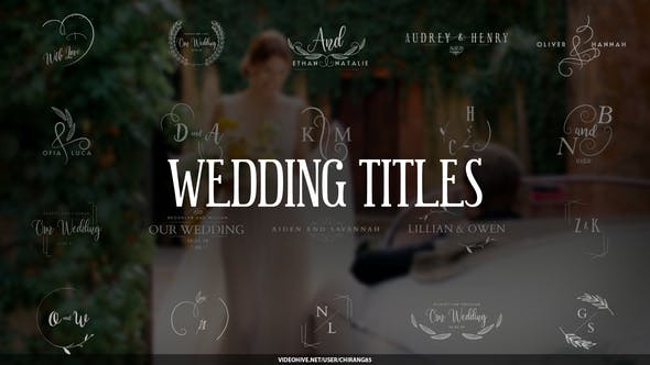 Romantic Titles | After Effects - Download 25626086 Videohive