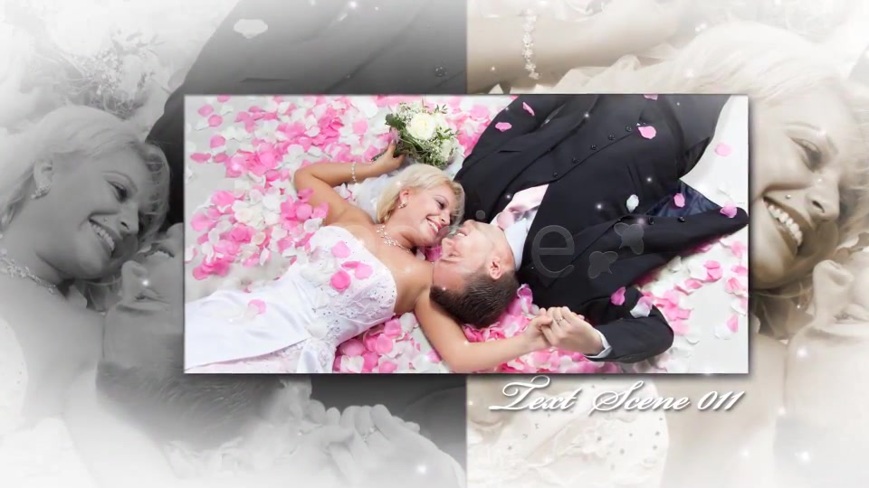 Romantic Wedding Elegant Album - Download Videohive 2492798