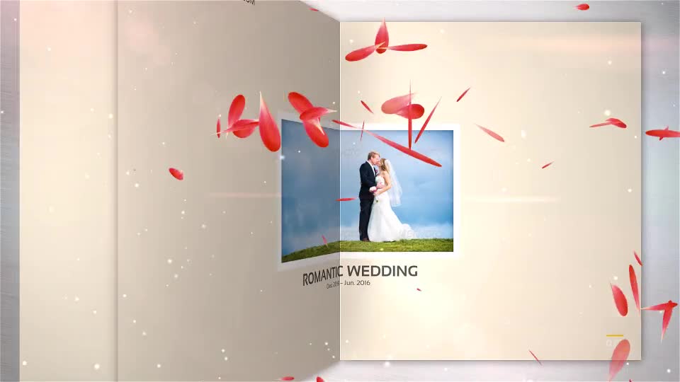 Romantic Wedding Elegant Photo Album - Download Videohive 18768546