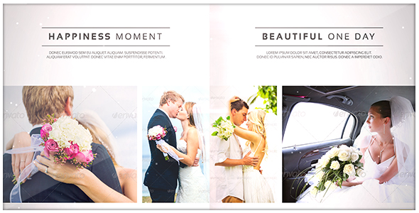 Romantic Wedding Elegant Photo Album - Download Videohive 18768546