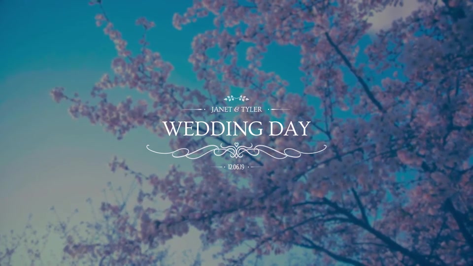 Romantic Wedding Titles Premiere Pro | Mogrt Videohive 24572168 Premiere Pro Image 12