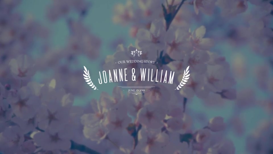 Romantic Wedding Titles Premiere Pro | Mogrt Videohive 24572168 Premiere Pro Image 6