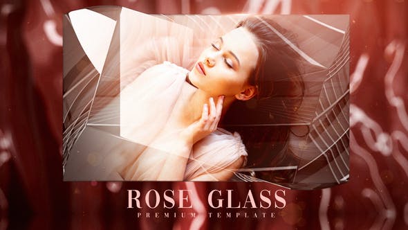 Rose Glass - Download 33531496 Videohive