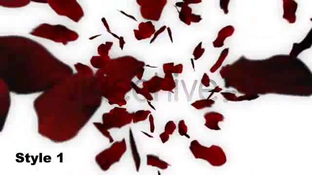 Rose Petals Fall into Heart Shape Alpha Included Videohive 1600365 Motion Graphics Image 1