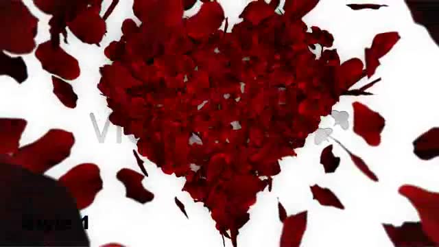Rose Petals Fall into Heart Shape Alpha Included Videohive 1600365 Motion Graphics Image 2